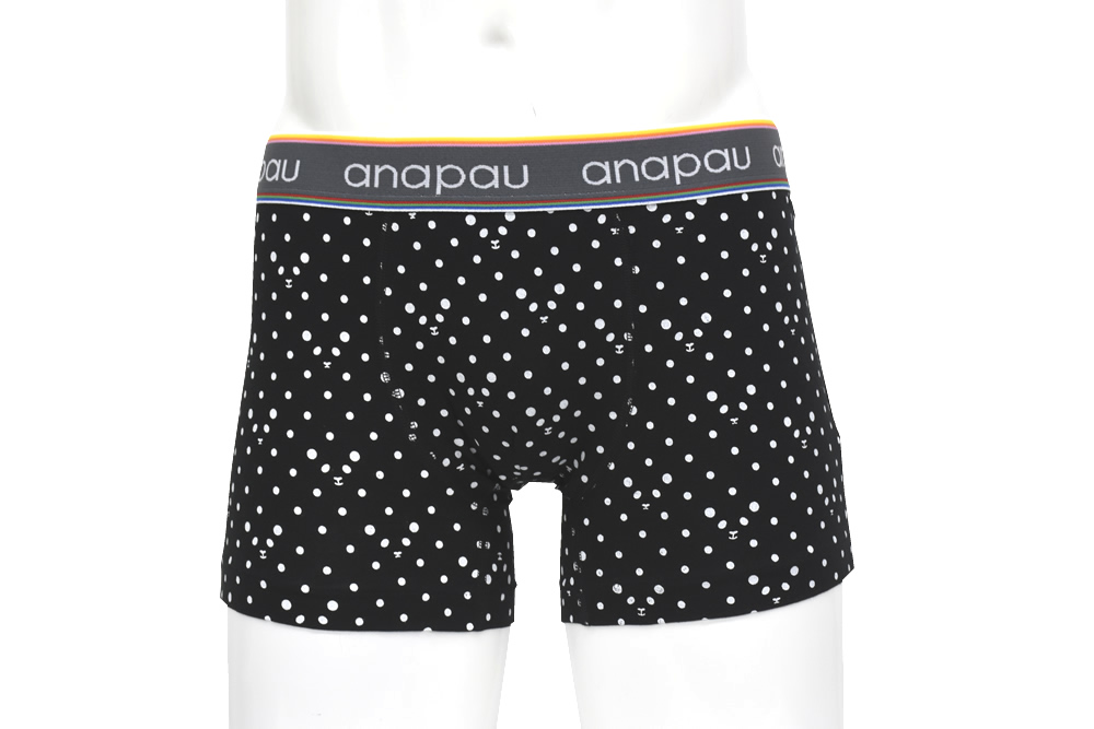 パンダドットB1