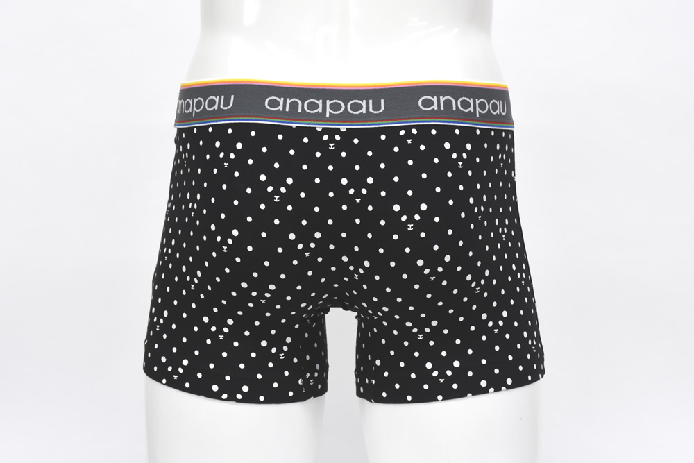 パンダドットB2