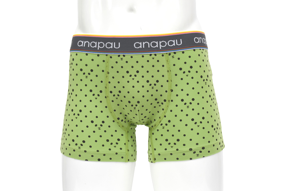 パンダドットG1