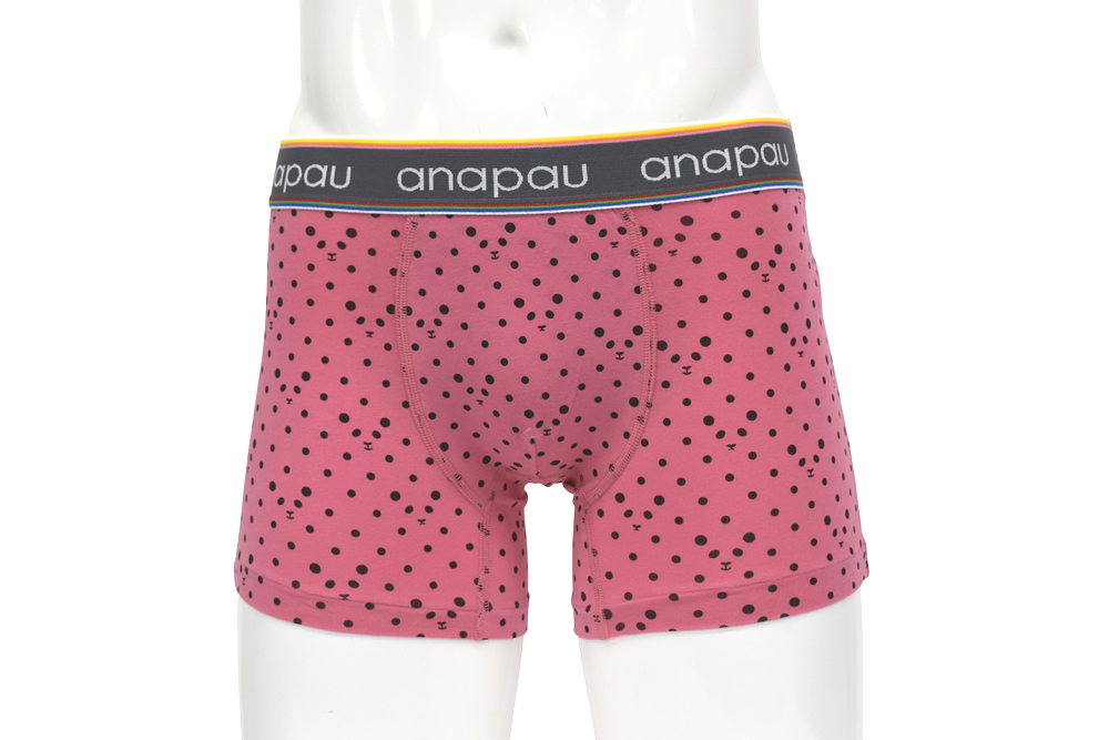 パンダドットP1