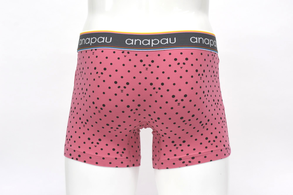 パンダドットP2