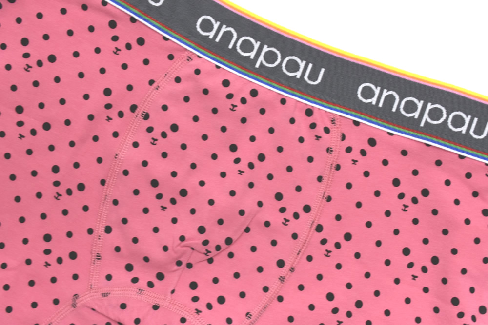 パンダドットP3